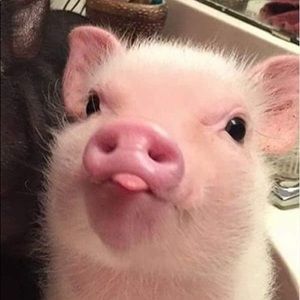 Meet your Posher, Beth